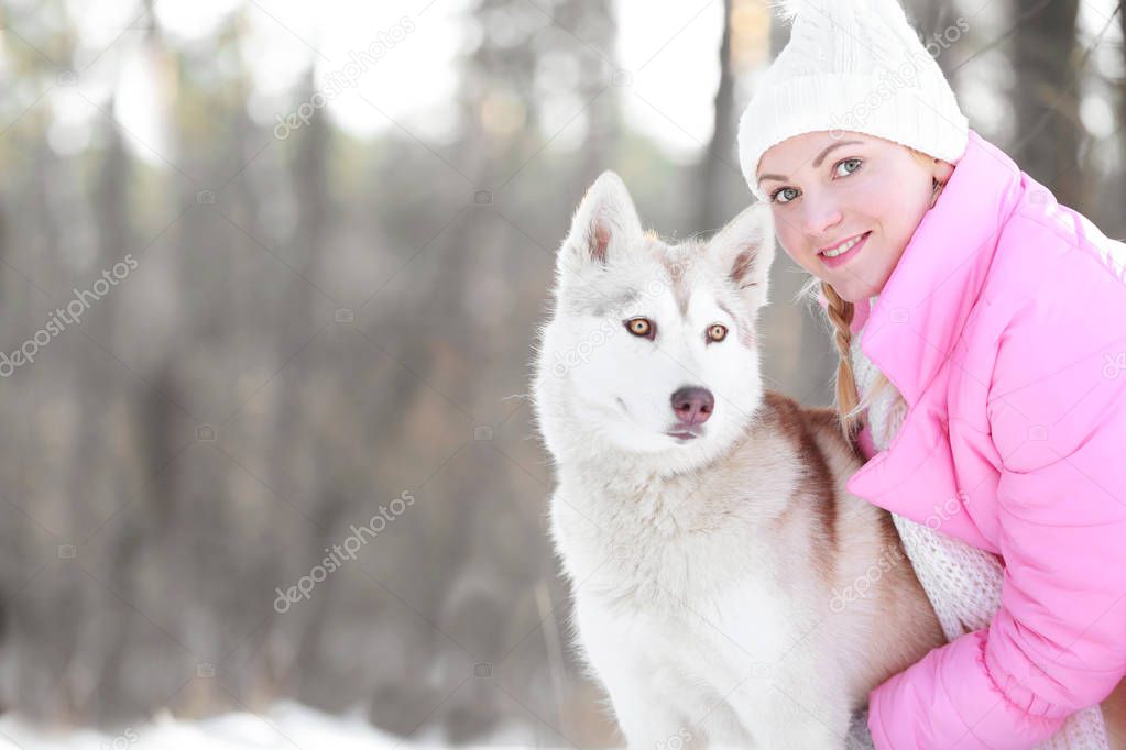Siberian husky in winter park