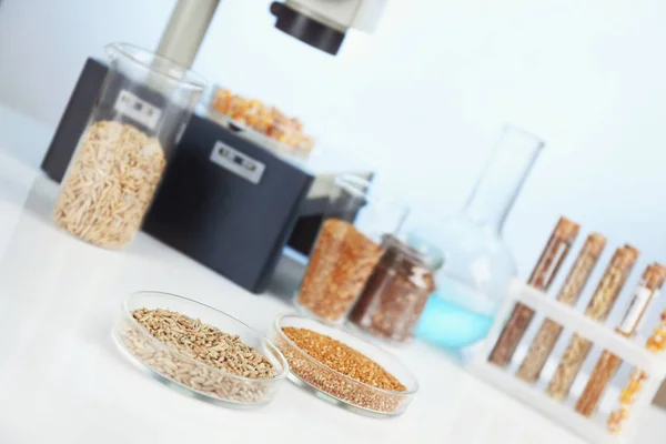 Food laboratory. Test for pesticides in seeds — Stock Photo, Image