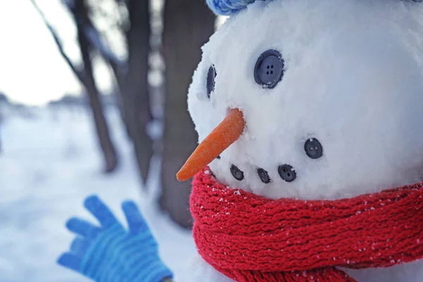 Kerst sneeuwpop in de winter — Stockfoto