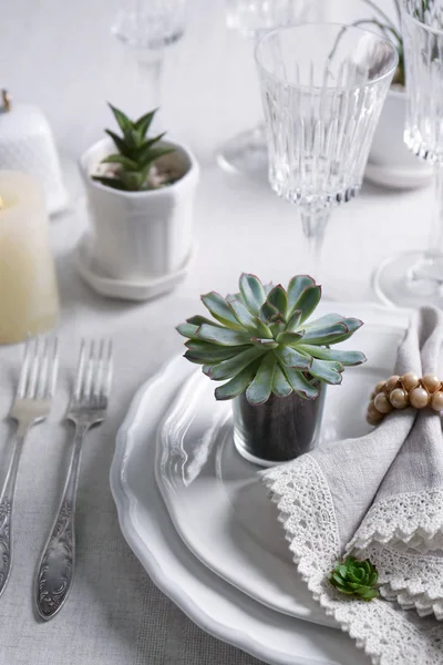 多肉植物を添えてテーブル — ストック写真