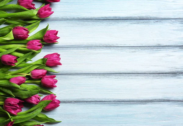 Beautiful tulips on background — Stock Photo, Image