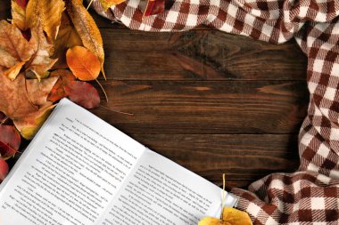 güzel sonbahar kompozisyon 