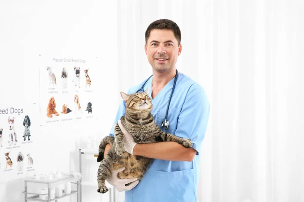 Bonito jovem veterinário — Fotografia de Stock