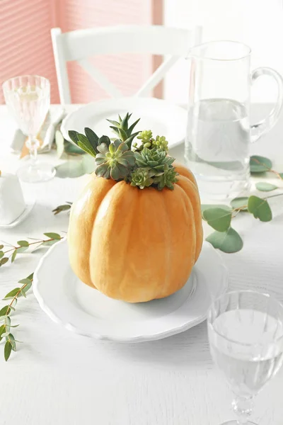 Beautiful composition of pumpkin — Stock Photo, Image