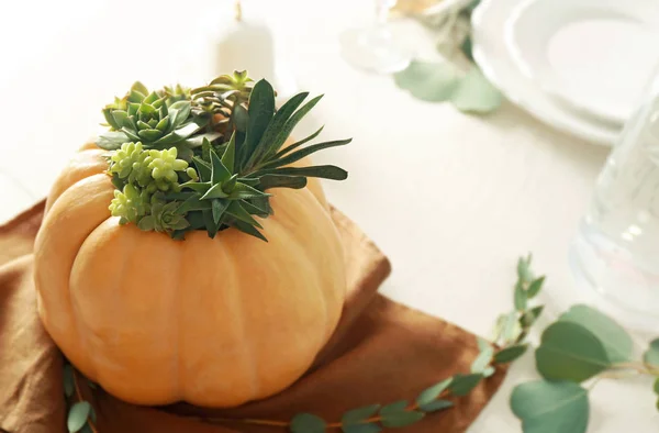 Hermosa composición de calabaza — Foto de Stock