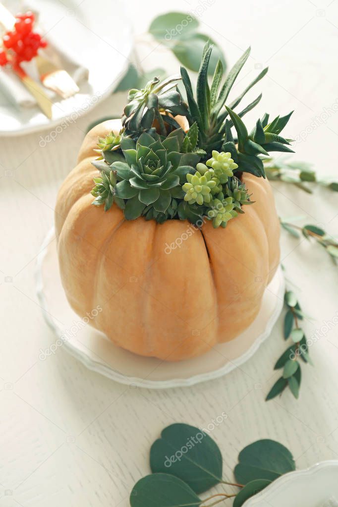 Beautiful composition of pumpkin