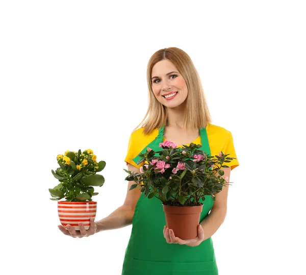 Floristería femenina sosteniendo plantas de la casa — Foto de Stock