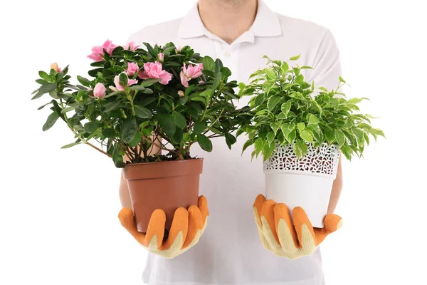 Masculino florista segurando plantas da casa — Fotografia de Stock