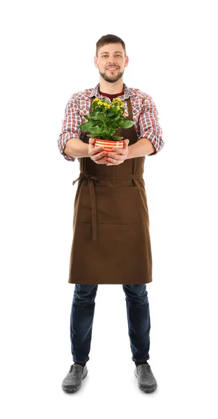 Masculino florista segurando planta casa — Fotografia de Stock
