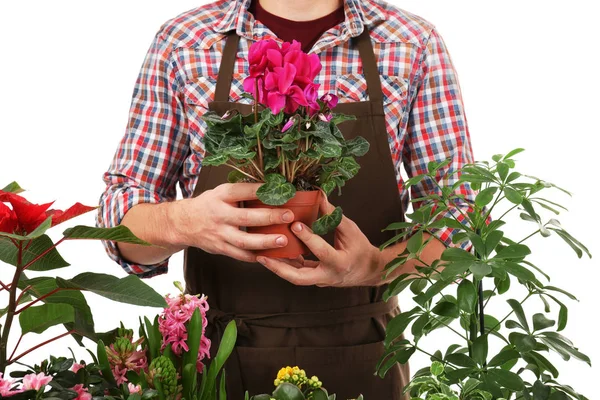 Fiorista maschio con piante da casa — Foto Stock