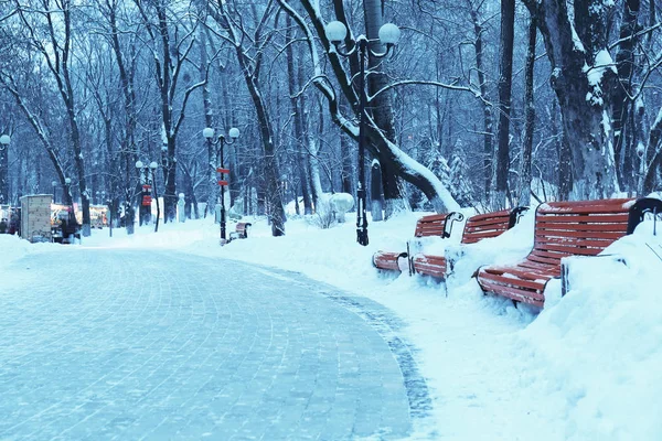 Πάρκο χειμερινή ημέρα — Φωτογραφία Αρχείου