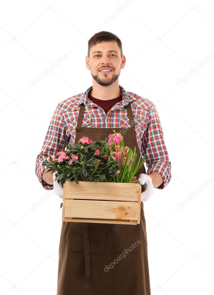 Male florist holding house plants