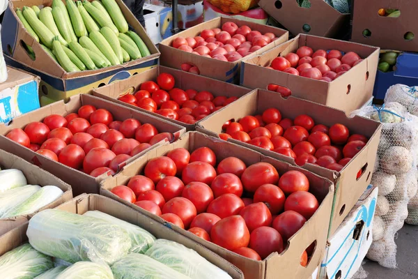 Fresh vegetables in boxes — Stock Photo, Image