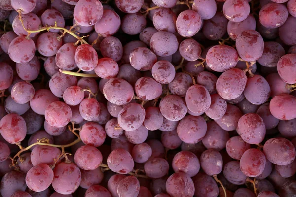 Смачні соковиті винограду — стокове фото