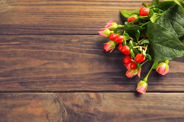 Ramo de hermosas rosas rojas —  Fotos de Stock