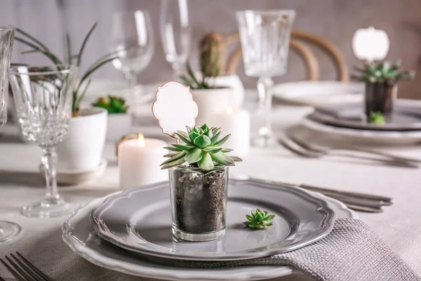 Succulents와 함께 테이블 — 스톡 사진