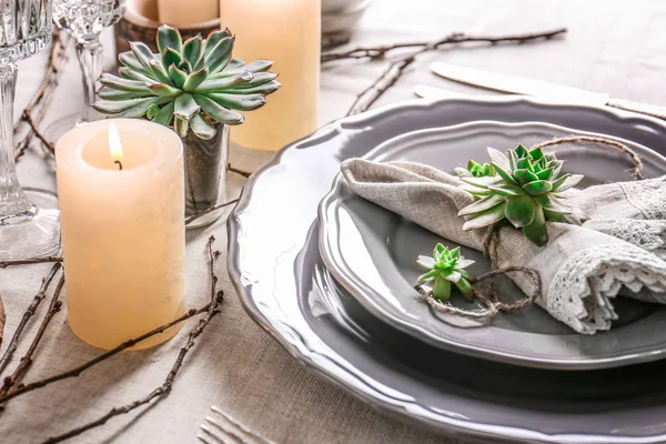 Tabel geserveerd met vetplanten — Stockfoto