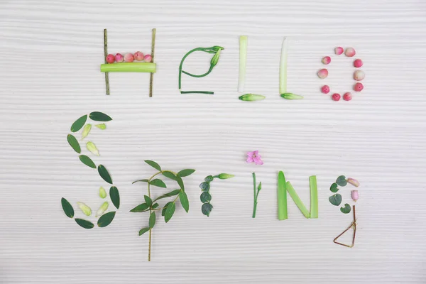 Text HELLO SPRING din frunze — Fotografie, imagine de stoc
