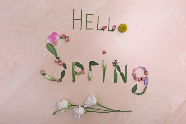 Tekst Przywitaj wiosnę wykonane z ziół — Zdjęcie stockowe