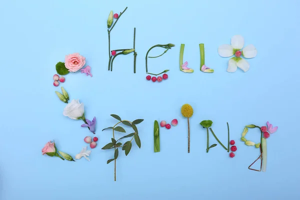 Texto HELLO SPRING hecho de hojas —  Fotos de Stock