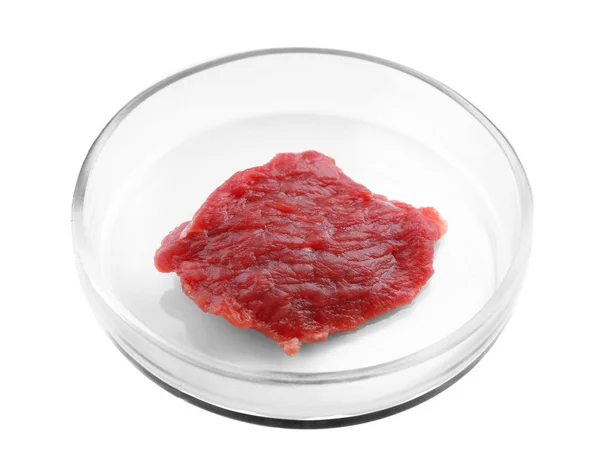 Pezzo di carne nel piatto di Petri — Foto Stock