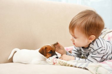 Köpek yavrusu sevimli çocuk