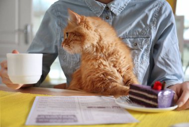 Kedi kafede oturan kadın