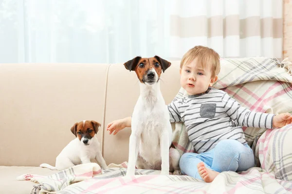 Schattige kleine jongen met honden — Stockfoto