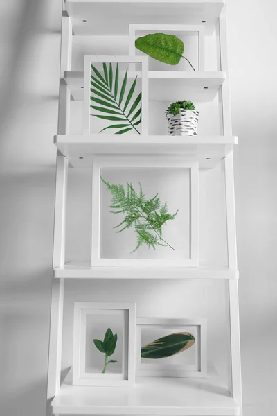 Frames with leaves and succulent on stairs on white background — Stock Photo, Image