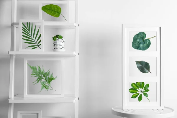 Рамки с листьями и сочным на лестнице на белом фоне — стоковое фото