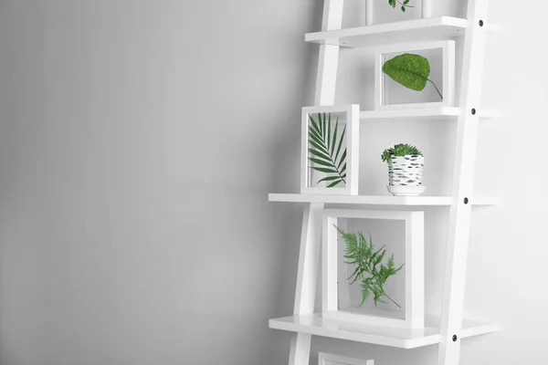 Frames with leaves and succulent on stairs on white background — Stock Photo, Image