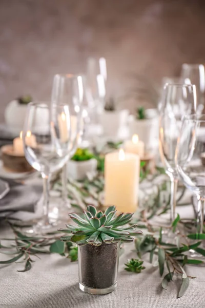 Table served with succulent plants for dinner — Stock Photo, Image