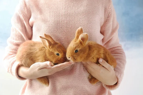 Dos lindos conejitos rojos en manos femeninas — Foto de Stock