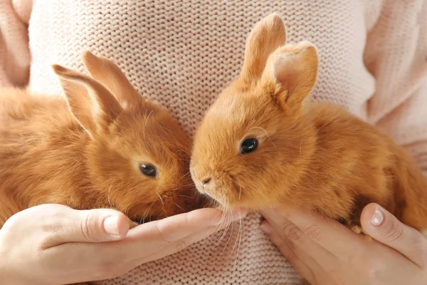 两个可爱的红色兔子在女性手中 — 图库照片