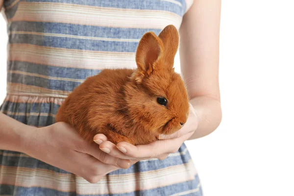 Girl holding small rabbit on white background — Stock Photo, Image