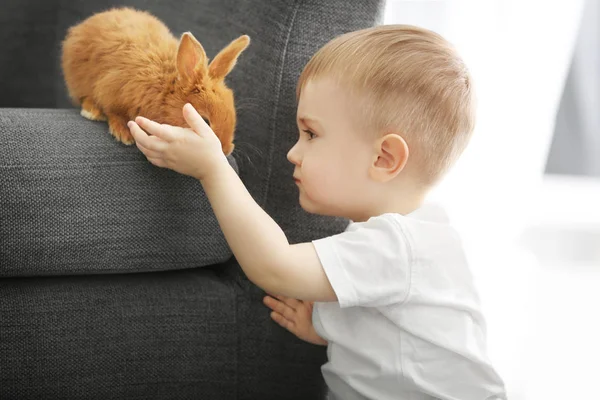 Lindo niño jugando con conejo divertido en casa —  Fotos de Stock