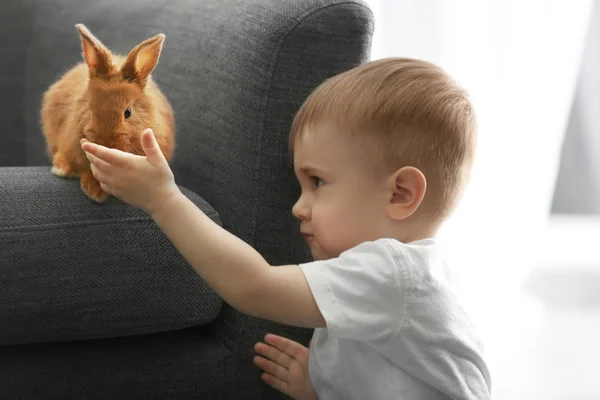 Carino piccolo ragazzo giocare con divertente coniglio a casa — Foto Stock