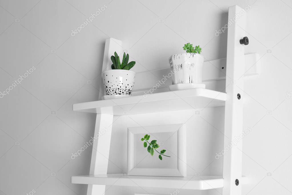 Frames with leaves and succulents on stairs on white background