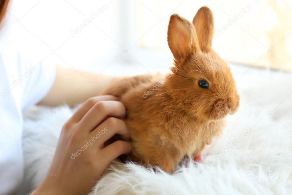 Girl holding small rabbit, closeup