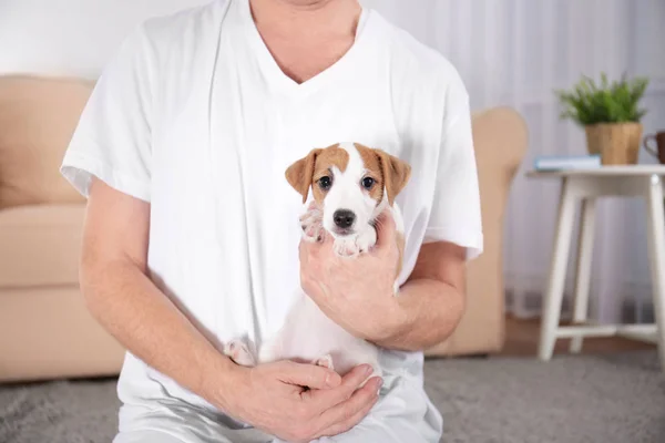 Owner with cute funny dog at home, closeup — Stock Photo, Image