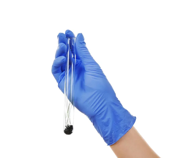 Female hand in blue glove holding test tube with plant on white background — Stock Photo, Image