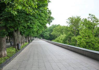 Kaldırım yaz parkta