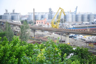 Denizi Aşan Köprü 