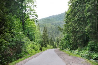 Karpat Dağları 'nda yol