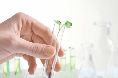 üretim tesisi ile test tüpü tutan el