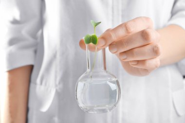 el tutma şişe üretim tesisi ile