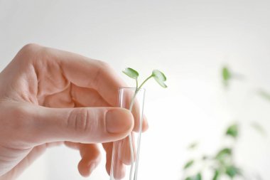 üretim tesisi ile test tüpü tutan el 