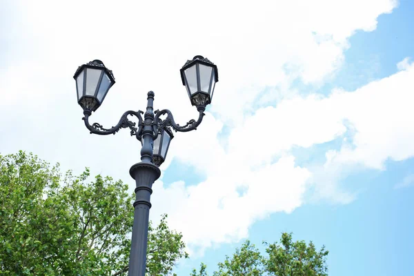 Pouliční lampy s větvemi stromu — Stock fotografie