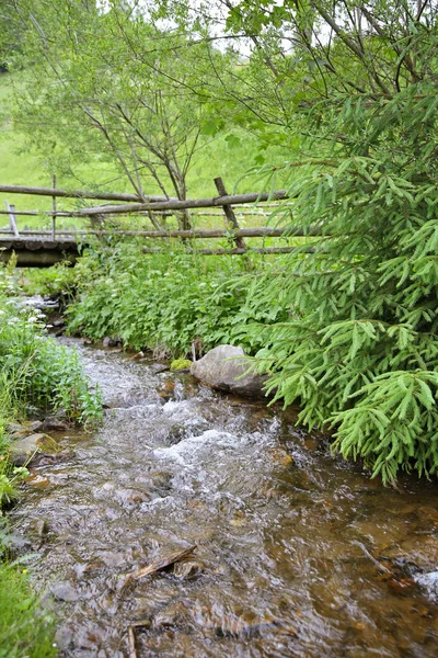 Río de montaña Cárpatos — Foto de Stock