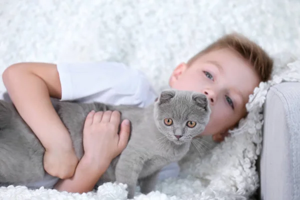 Menino com gatinho britânico — Fotografia de Stock